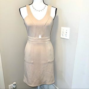 Beige Bodycon dress